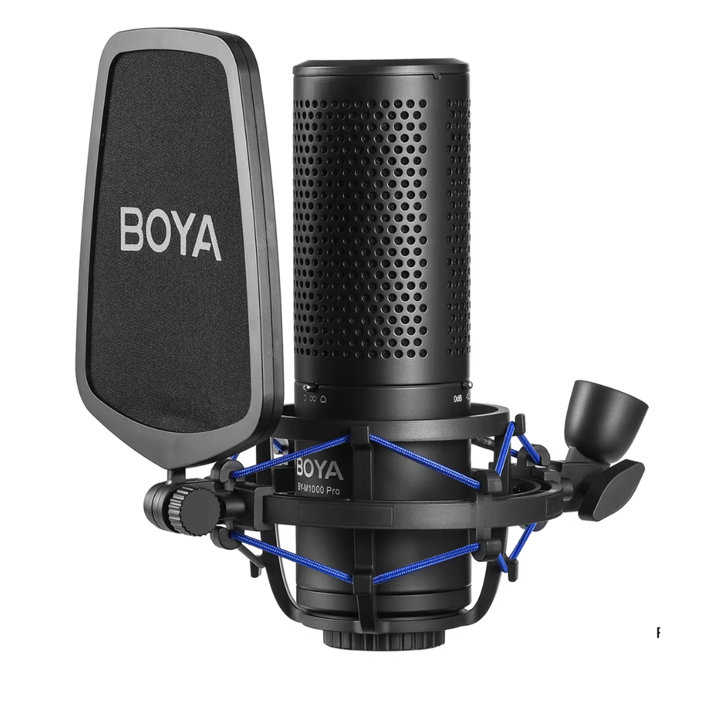 Professional Large Diaphragm Condenser Microphone with Filter