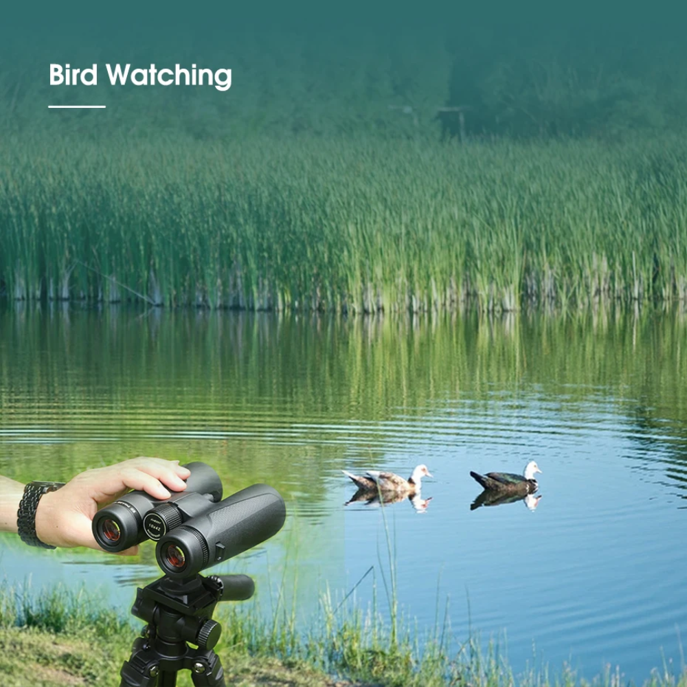 Long-Range HD Binoculars 10x50 for Outdoor Adventures