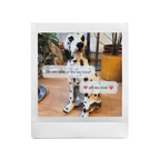 Smartphone Photo Printer with Instant Square Film Output