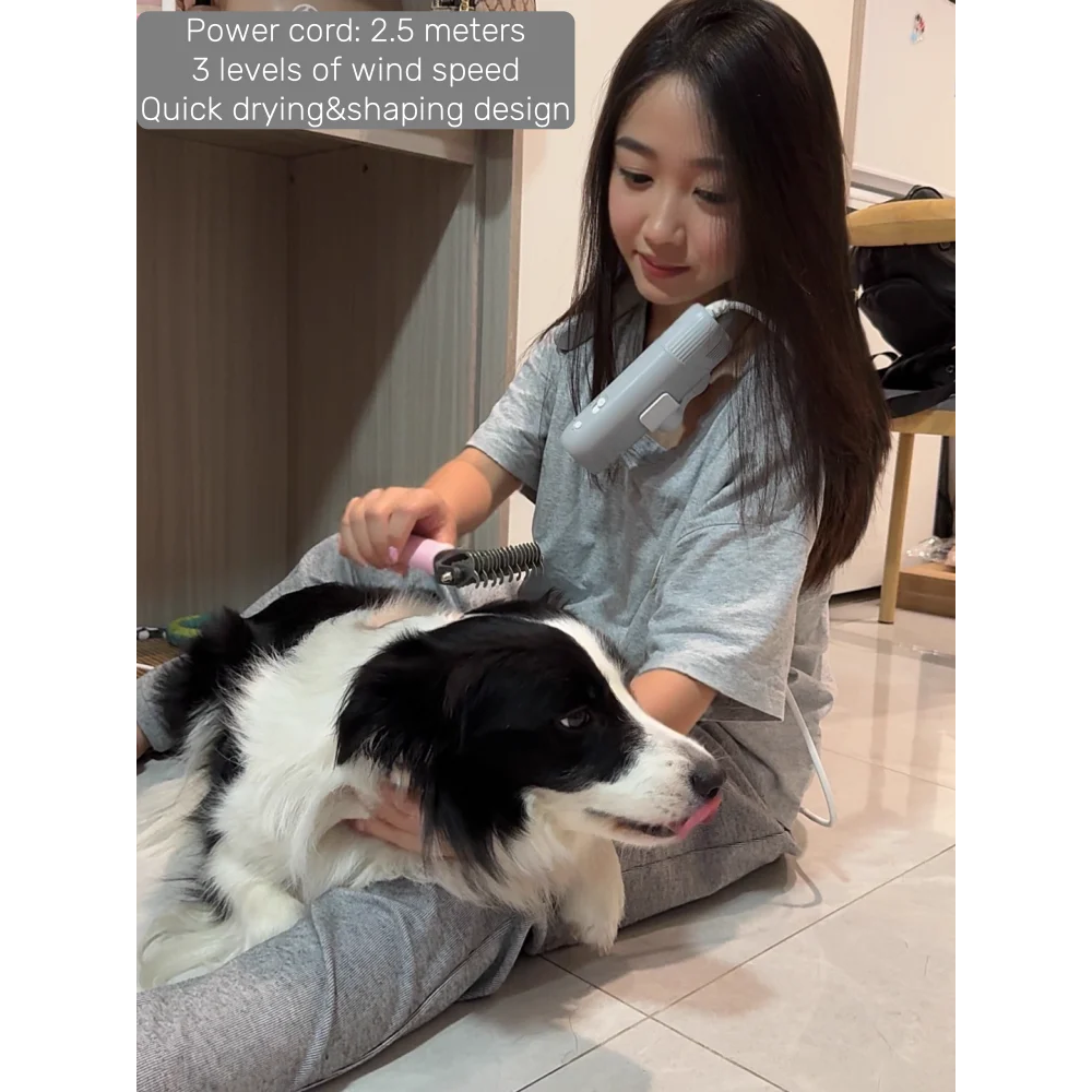 2-in-1 Pet Hair Dryer with Negative Ions for Handheld & Neck Hanging Grooming