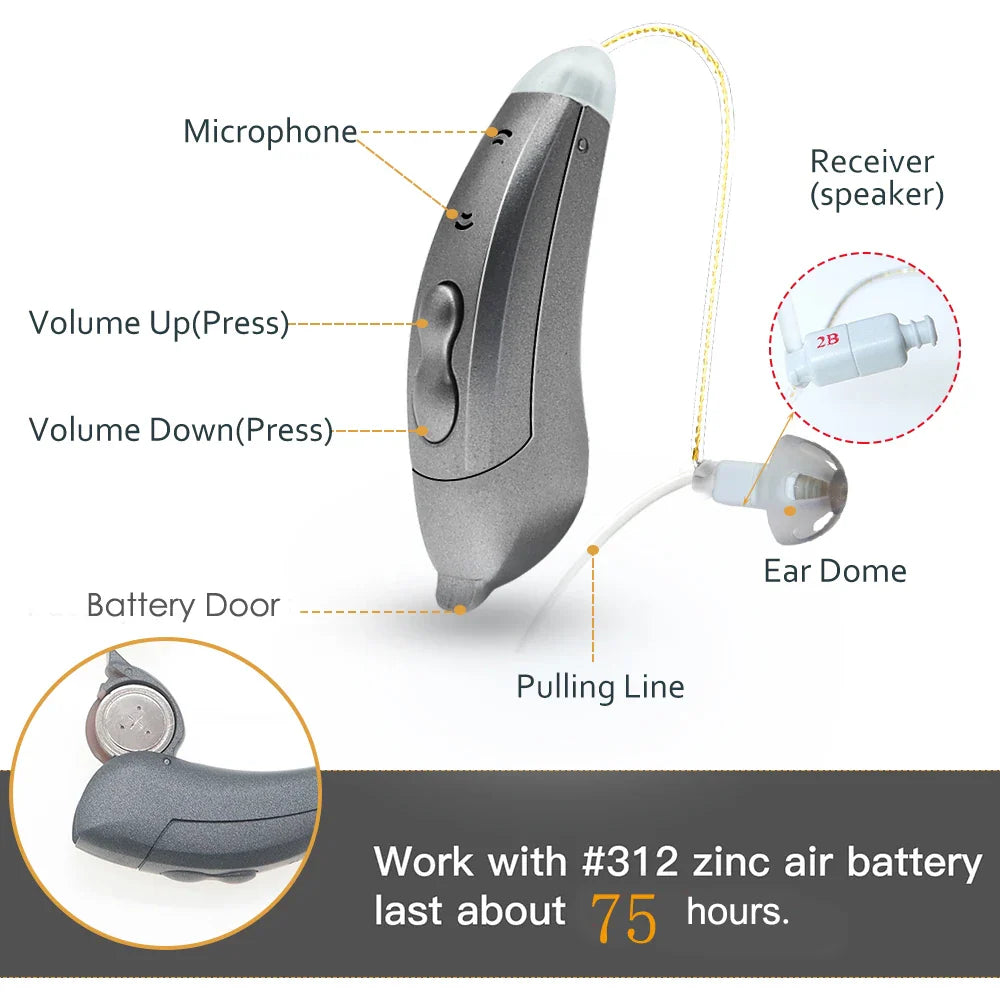 Invisible 10-Channel Hearing Aids – App-Controlled, SF101-Champagne-Pair