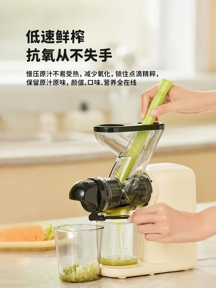 Mini Automatic Juice Extractor 100W for Home Use