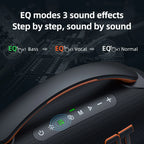 Rechargeable 60W Outdoor Bluetooth Speaker in Black Finish