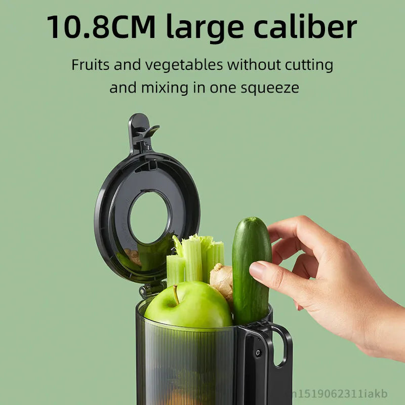 1L Barrel, Low Speed, 137Nm Torque, Large Mouth for Whole Fruit