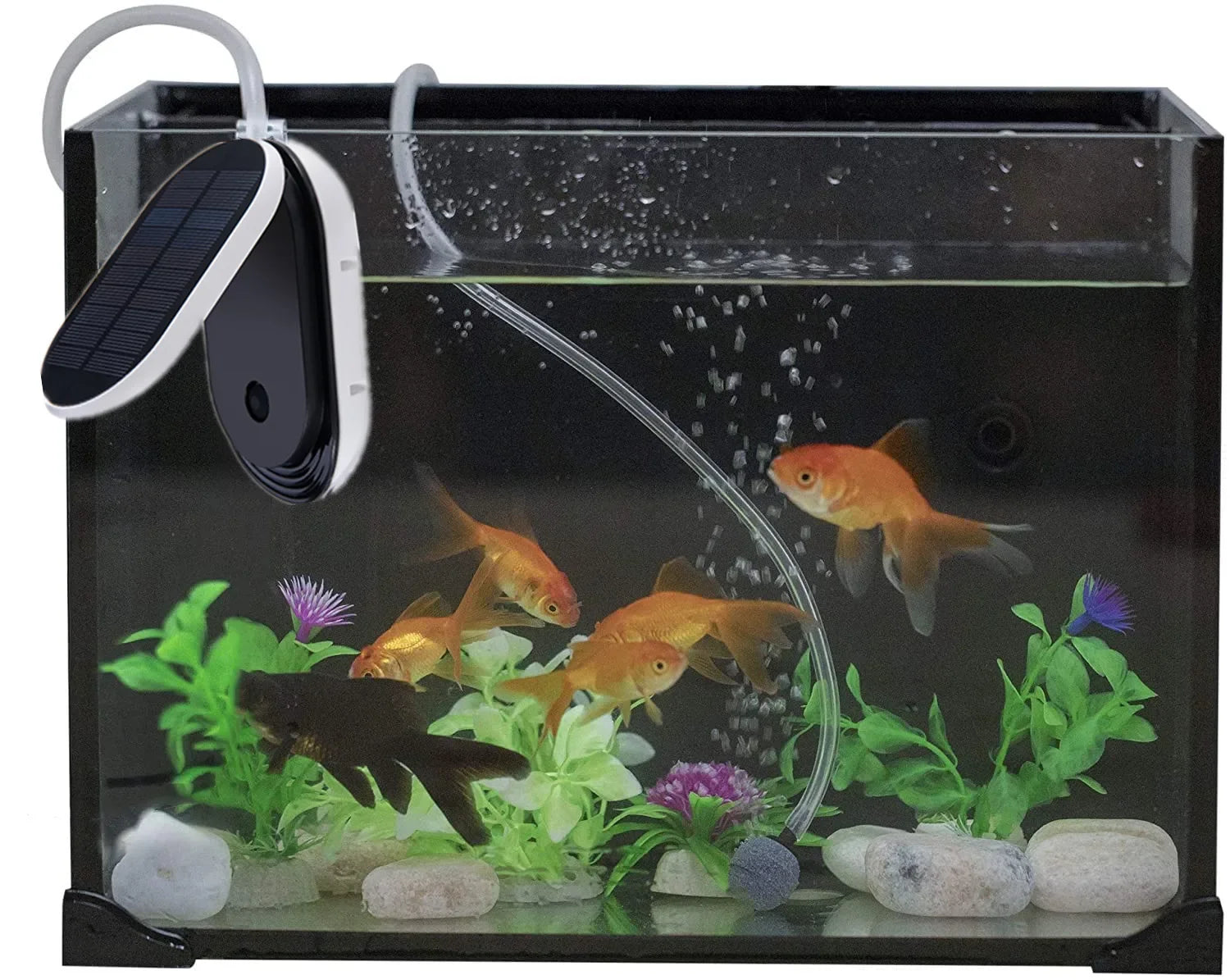 Solar Pond Aerator Pump for Fish Tanks and Ponds