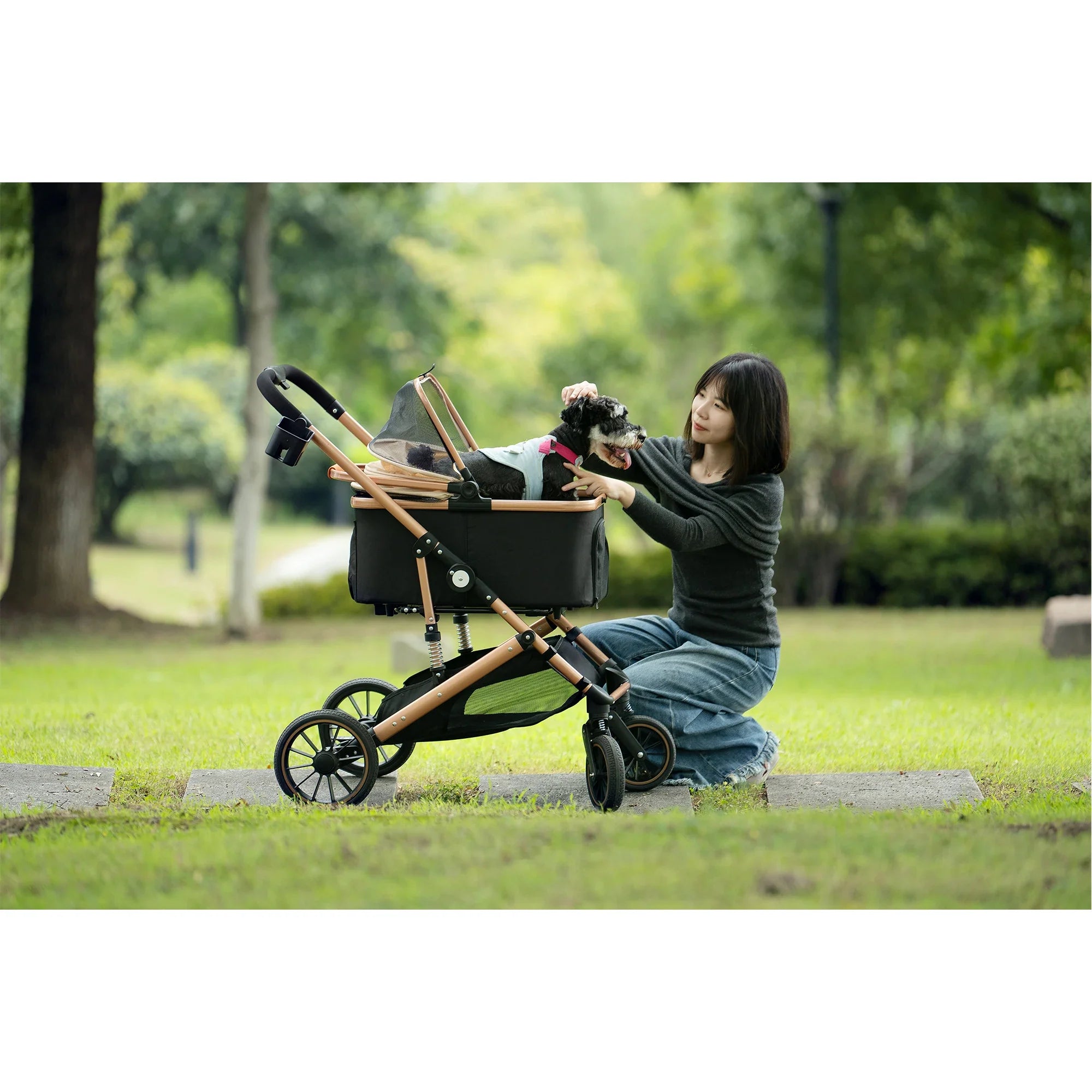 Portable Pet Travel Trolley with Folding Design