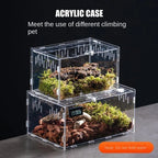 12x12x20cm Acrylic Terrarium Cage for Reptiles & Insects