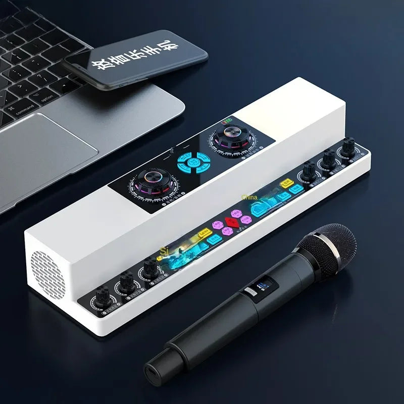 Cordless 10W Bluetooth Karaoke Speaker for Indoor Outdoor Use Y6-2WF