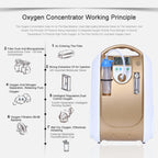 Portable Oxygen Concentrator 1–5L Adjustable Flow for Home Use