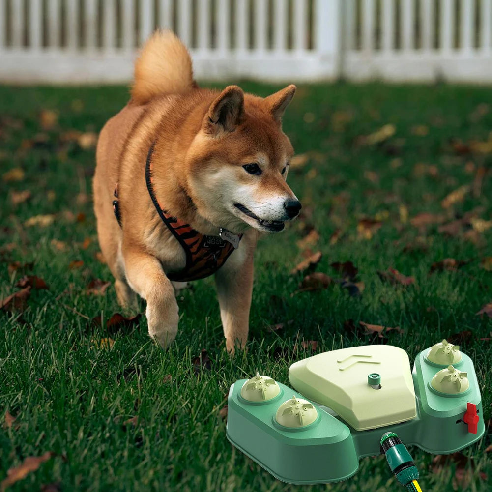 Interactive Dog Sprinkler Fountain, Summer Outdoor Toy