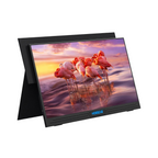 14" Portable Touchscreen Monitor 1080p IPS USB-C Display