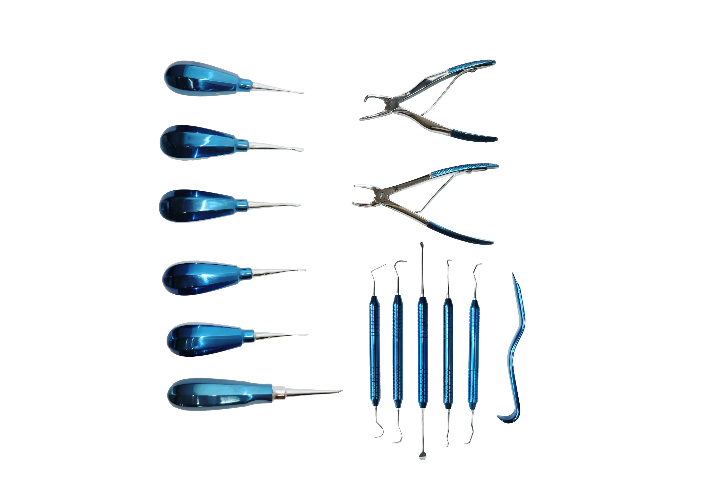 14-Piece Veterinary Dental Instrument Set for Pet Clinics