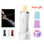 Gold Head Facial Scrubber Ultrasonic Blackhead Remover