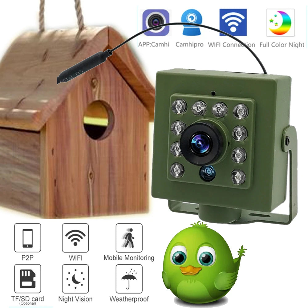 1080p Smart Bird Watching Camera with Motion Alerts & Audio