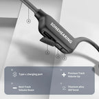 Bluetooth Hearing Aid with Voice Prompts & Music Playback