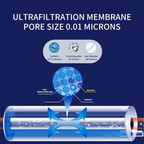 0.01 Micron Ultrafiltration Water Purifier with Backwash – 6000L/10000L Capacity
