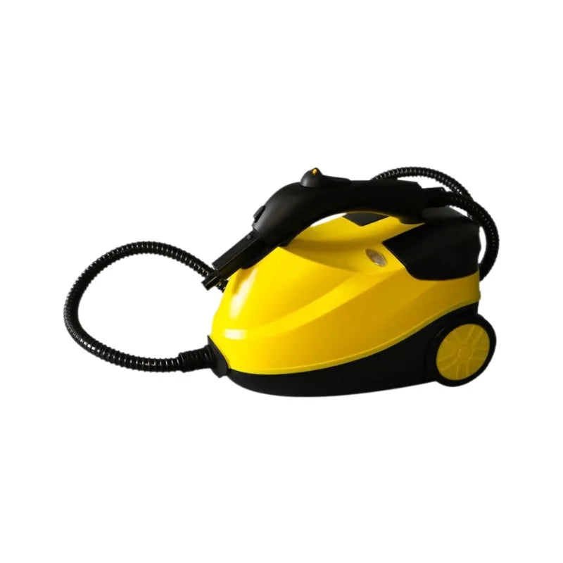 Portable Steam Disinfection Cleaner for Home and Auto