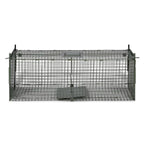 100cm Dual Entry Humane Animal Trap Cage – Reinforced Steel Mesh, Foldable Design