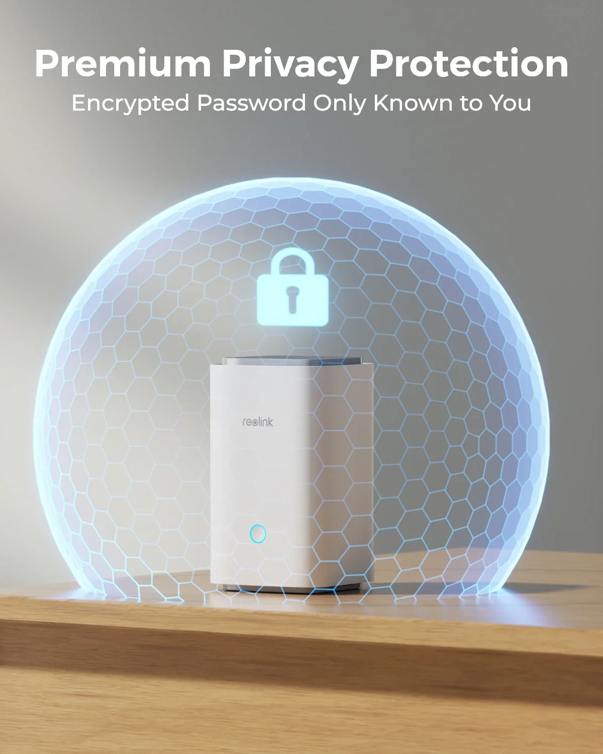 Smart Home Security Hub with Local Encrypted Storage