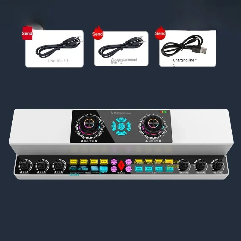 Cordless 10W Bluetooth Karaoke Speaker for Indoor Outdoor Use Y6-2WF