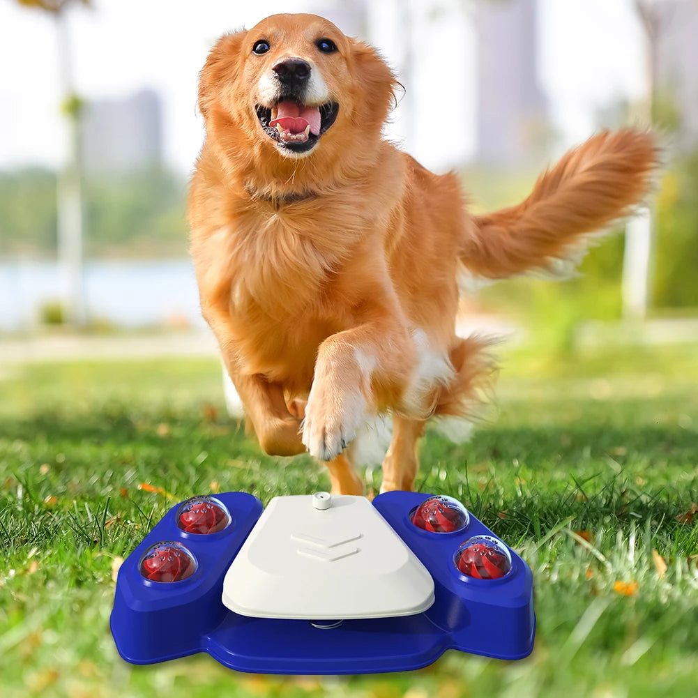Dog Sprinkler Fountain, Step-On Pad, Adjustable Spray