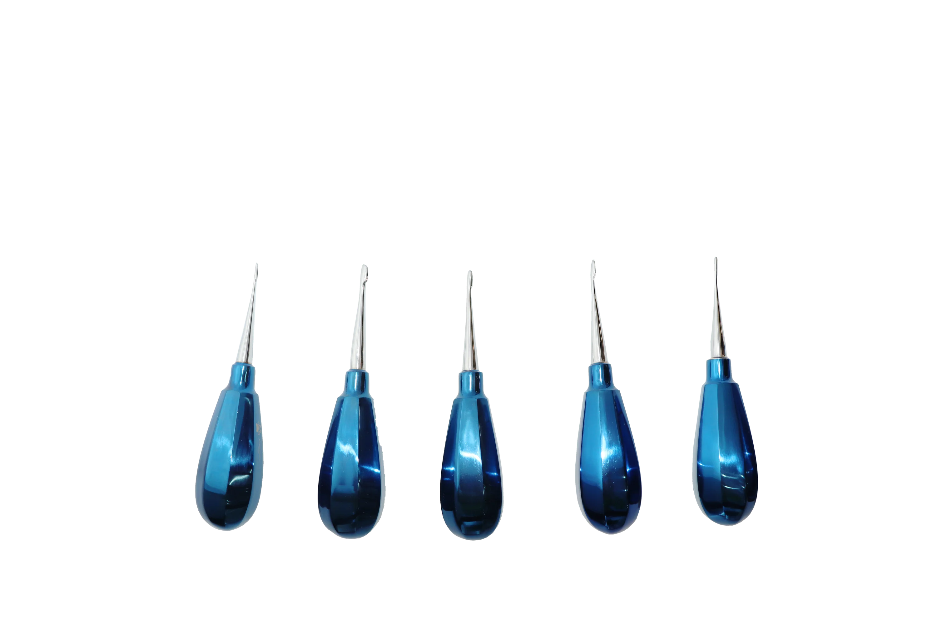 14-Piece Veterinary Dental Instrument Set for Pet Clinics