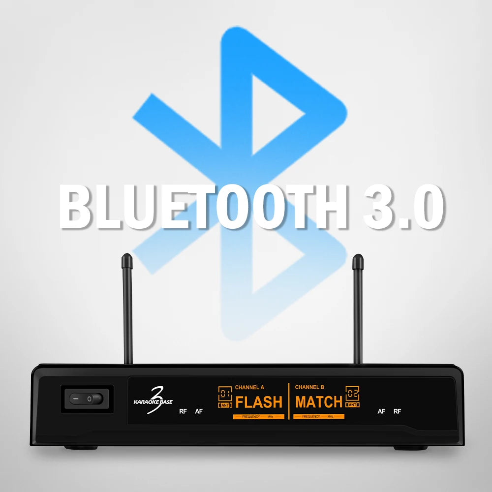 Portable Bluetooth Wireless Microphone System – 2 Dynamic Mics with Echo for Home & Live Events