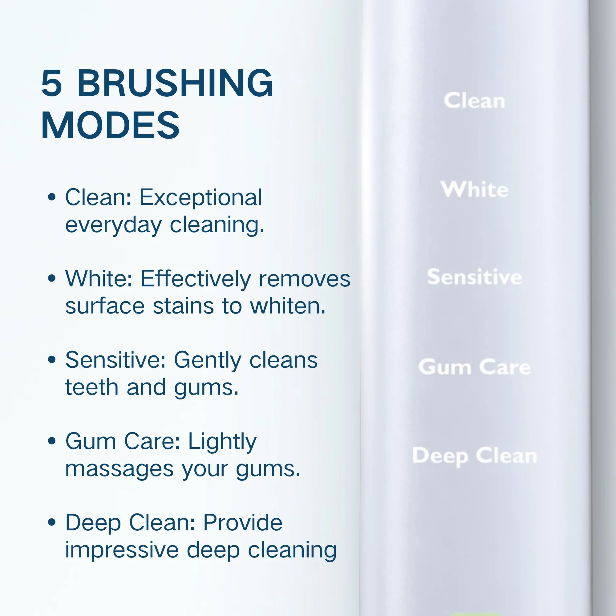 Rechargeable Sonic Electric Toothbrush with Deep Clean & Timer