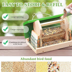 Durable Hanging Bird Feeder for Indoor or Outdoor Use Easy-Clean Stylish