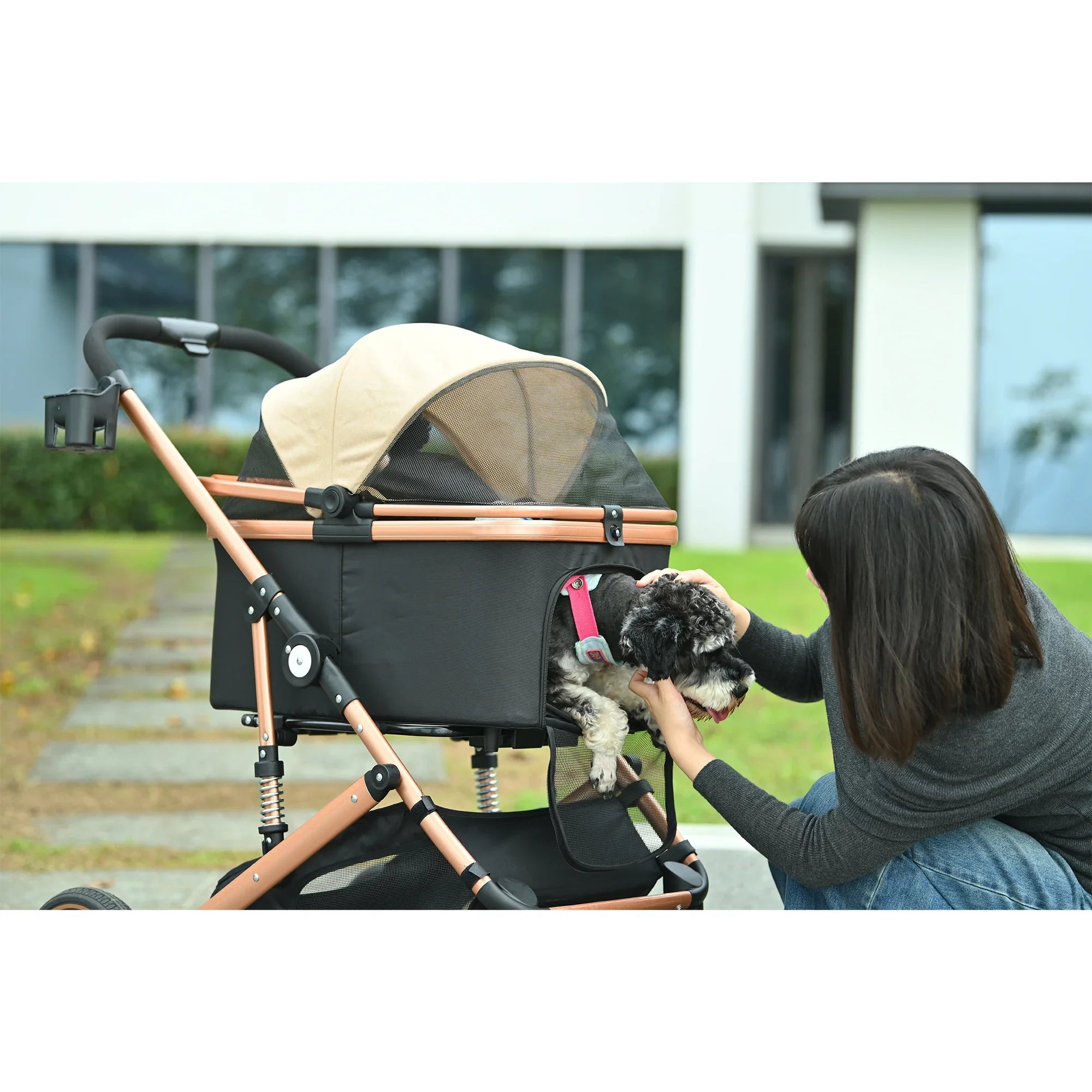 Portable Pet Travel Trolley with Folding Design