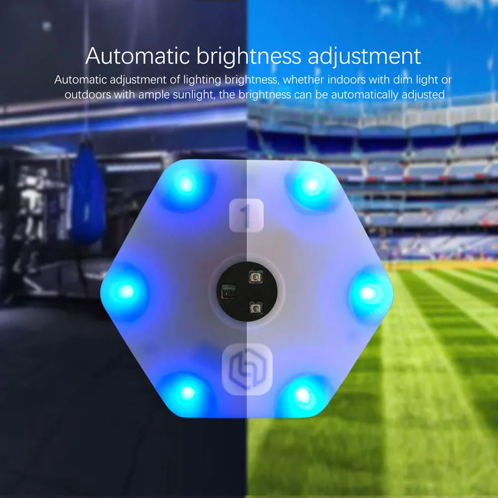 12 Pack Smart Reaction Training Lights with App Control