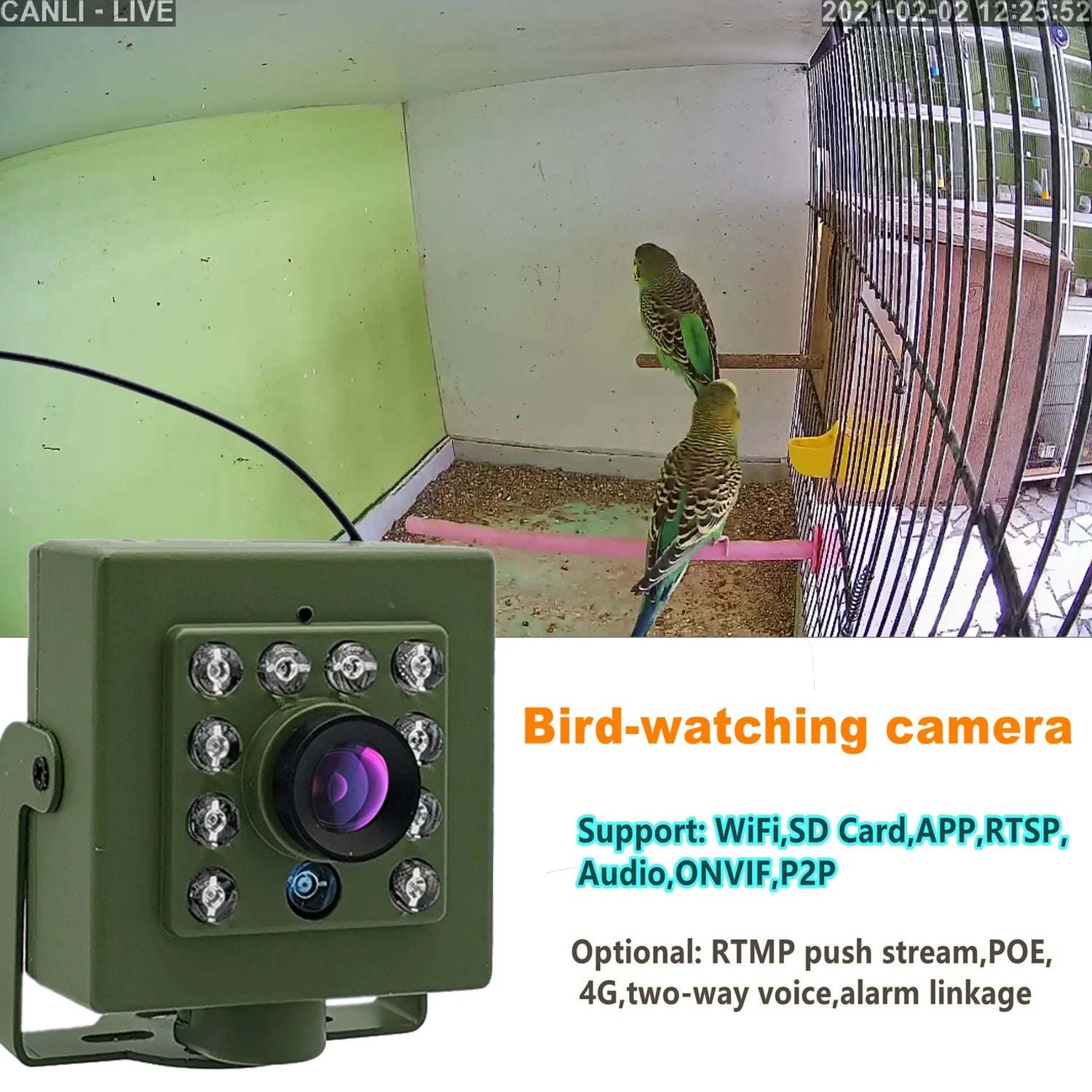 1080p Smart Bird Watching Camera with Motion Alerts & Audio