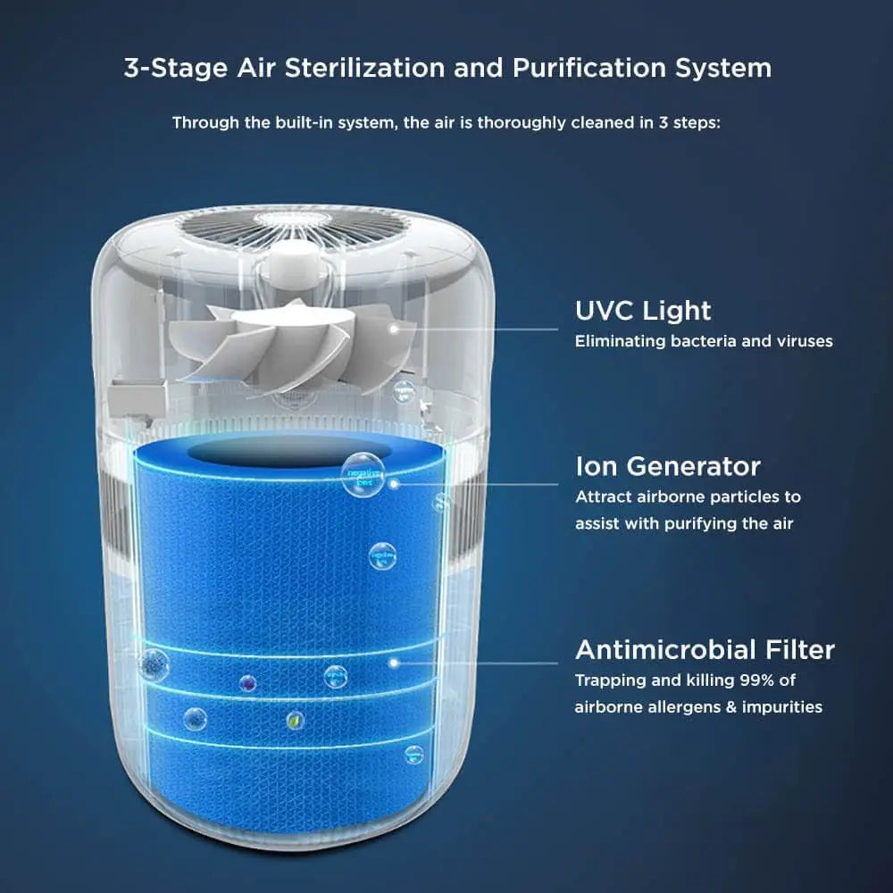2-in-1 Evaporative Humidifier & Air Purifier with UV Light and 4L Tank