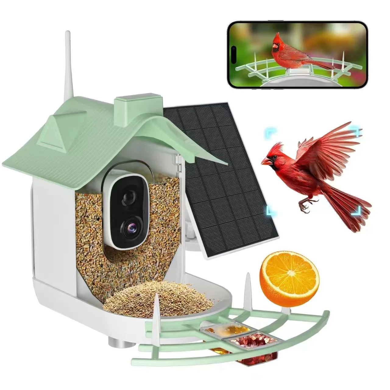 Solar Powered Smart Bird Feeder with HD Camera & Wi-Fi App Connectivity