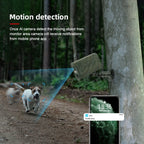 Outdoor 4MP Hunting Camera with Night Vision and Audio