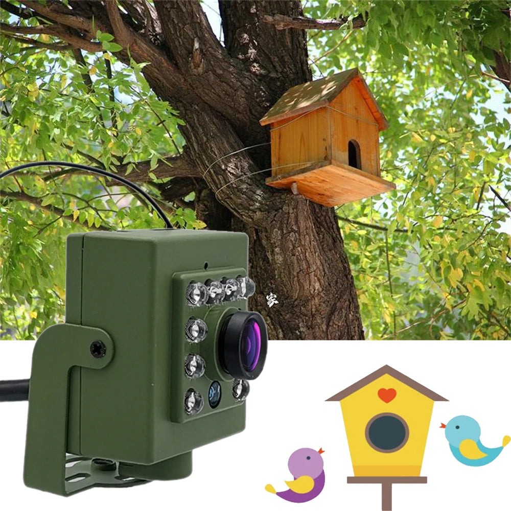 1080p Smart Bird Watching Camera with Motion Alerts & Audio