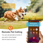 4G Waterproof Dog & Cat Tracking Collar with Real-Time Locator and Vibrating Function