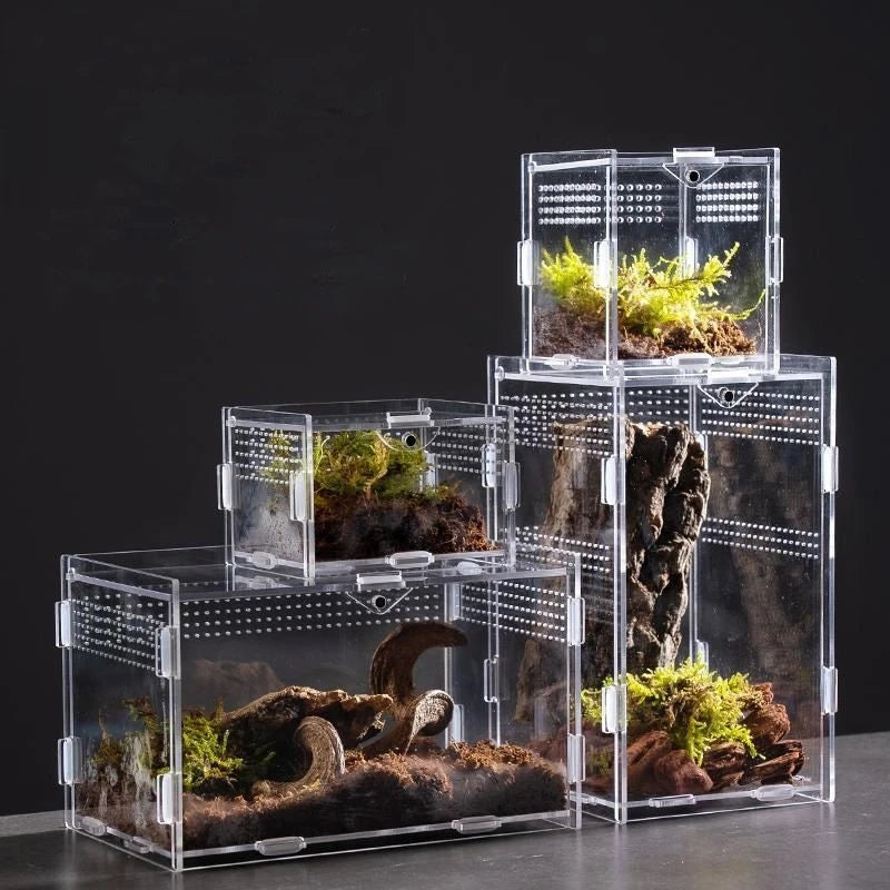 12x12x20cm Acrylic Terrarium Cage for Reptiles & Insects