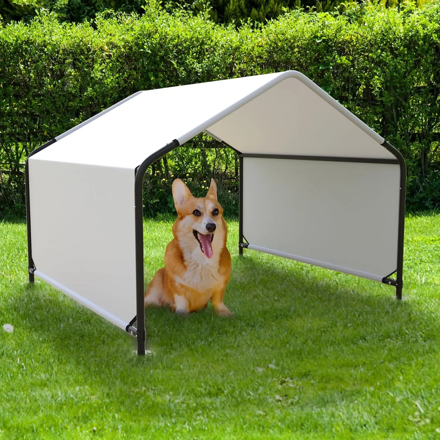 Foldable Outdoor Dog Tent – Waterproof Oxford Fabric, Black-L