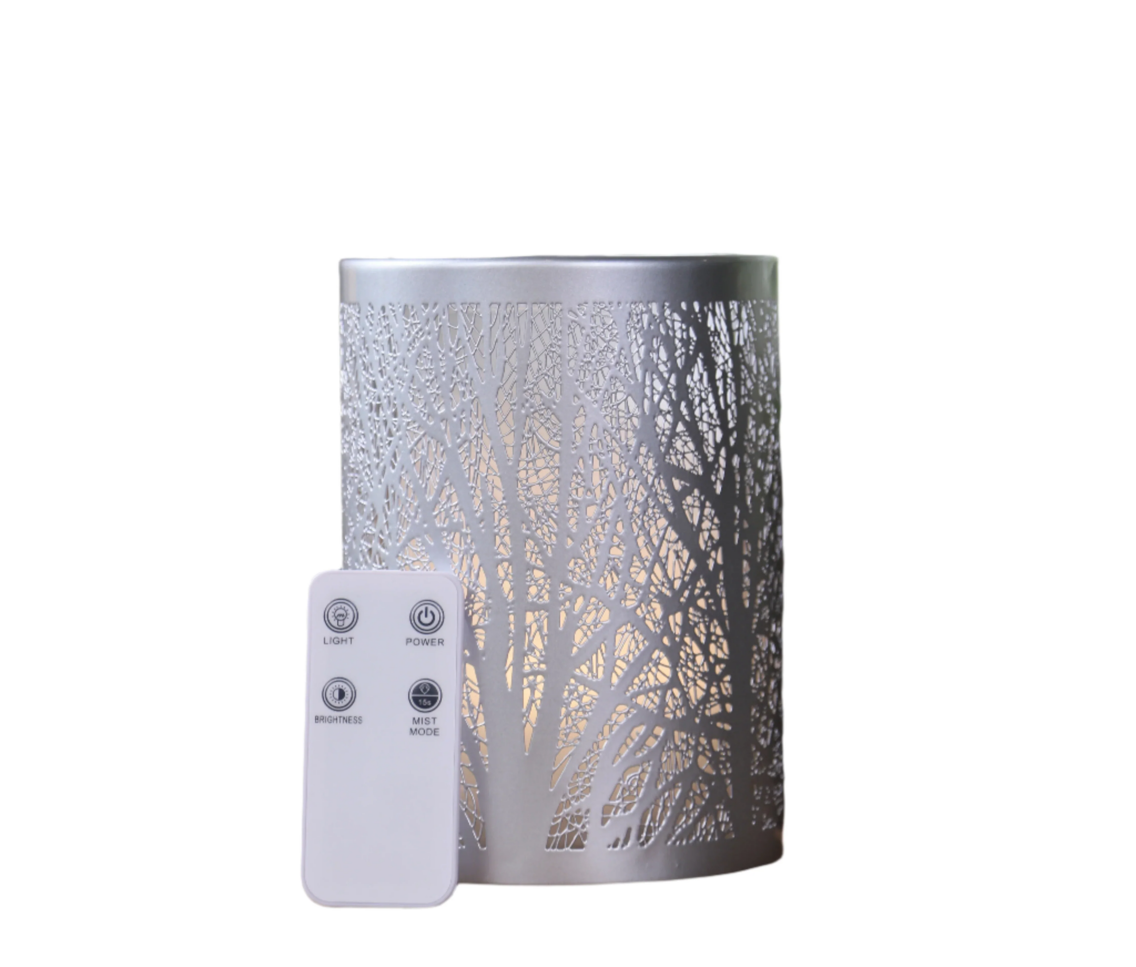 100ml Electric Aroma Diffuser with Remote & Night Light