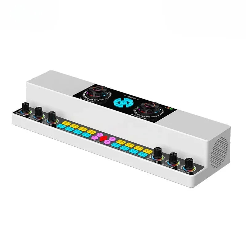 Cordless 10W Bluetooth Karaoke Speaker for Indoor Outdoor Use Y6-2WF