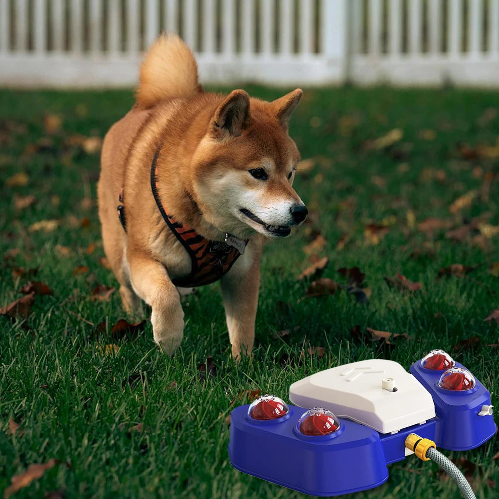 Outdoor Dog Sprinkler Toy with Adjustable Spray Angle