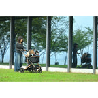 Portable Pet Travel Trolley with Folding Design