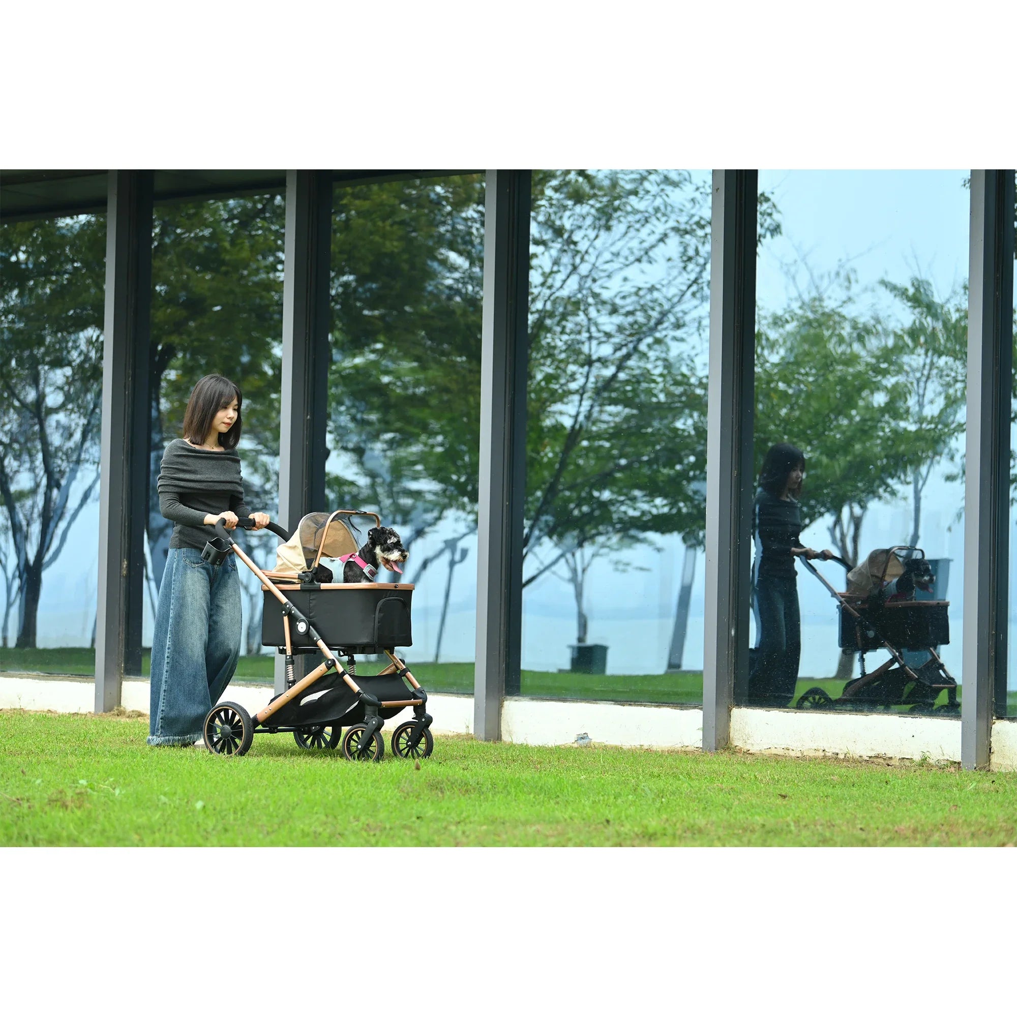 Portable Pet Travel Trolley with Folding Design