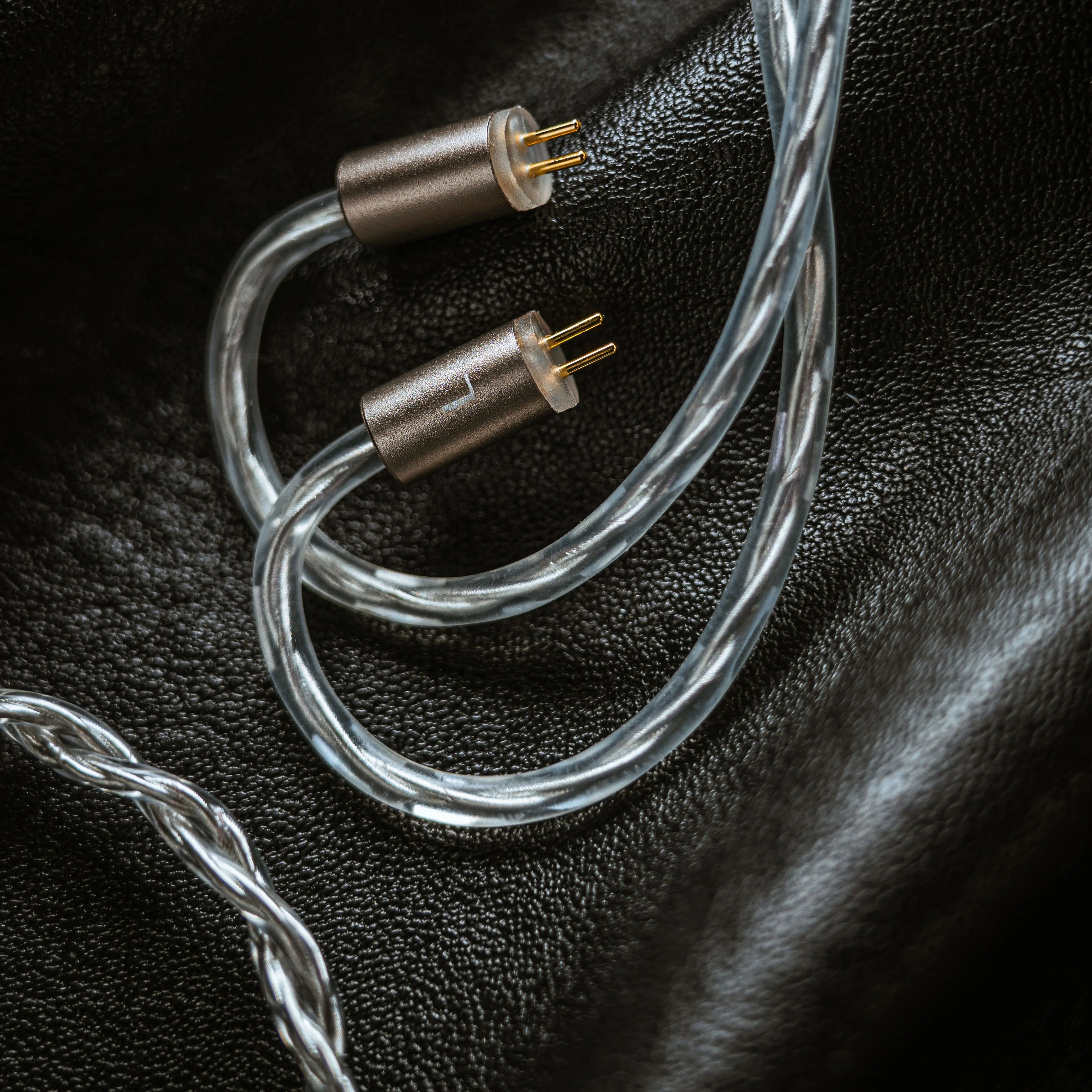 10mm Dynamic Driver IEMs with Dual Tuning Style
