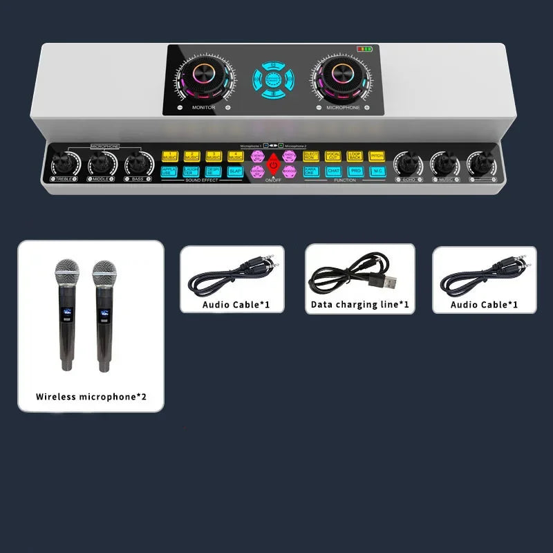 Cordless 10W Bluetooth Karaoke Speaker for Indoor Outdoor Use Y6 Standard