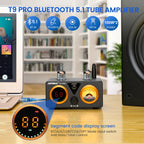 100W×2 Stereo Tube Amplifier with Bluetooth 5.0