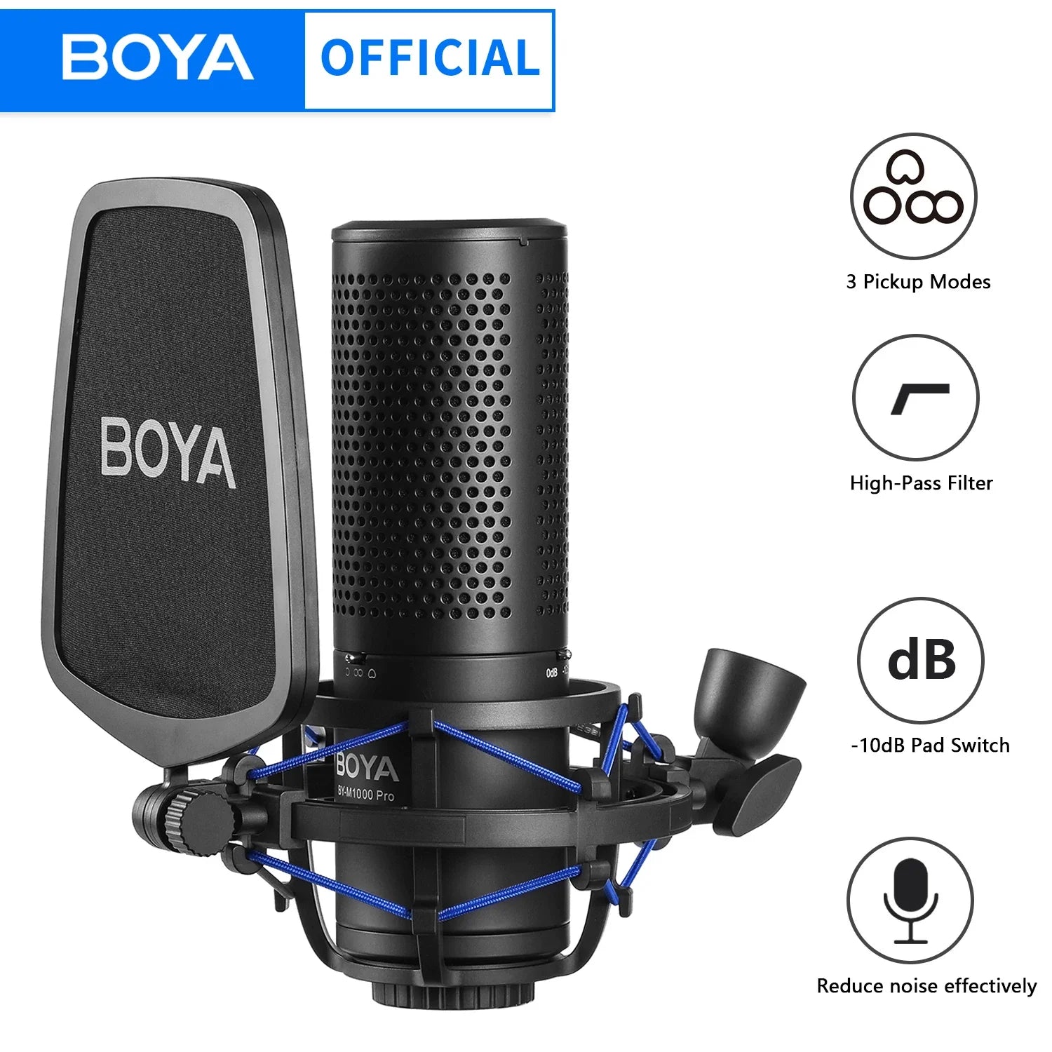 Professional Large Diaphragm Condenser Microphone with Filter