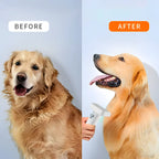 Multifunctional Pet Grooming Kit with Brush and Vacuum