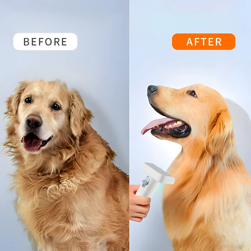 Multifunctional Pet Grooming Kit with Brush and Vacuum